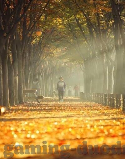 游虫德州扑克-游虫德州扑克，策略与乐趣的碰撞